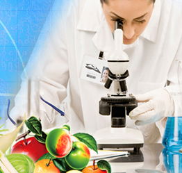 山東檢驗檢疫局食品農產品檢測中心 黨員技術服務熱線，筑牢食品安全防線